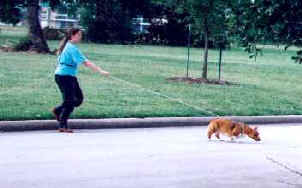 Austin training for VST