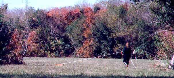 Austin's TD Track